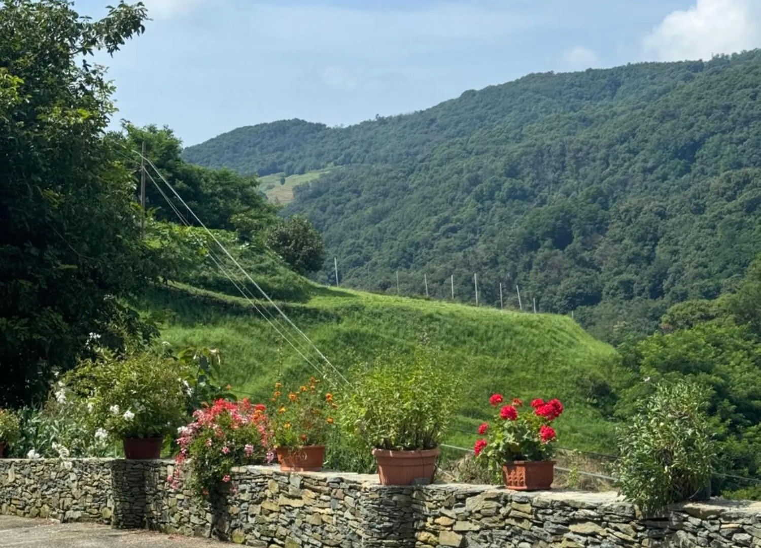 Bed & Breakfast B&B Al Ciliegio Del Turchino Mele